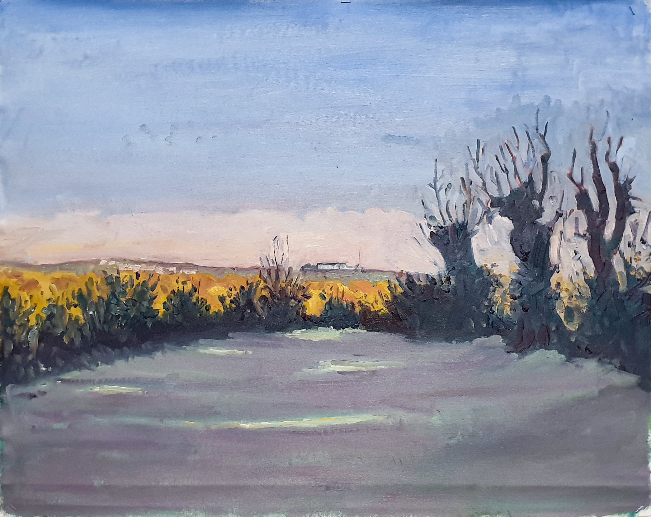 frost on grass painting