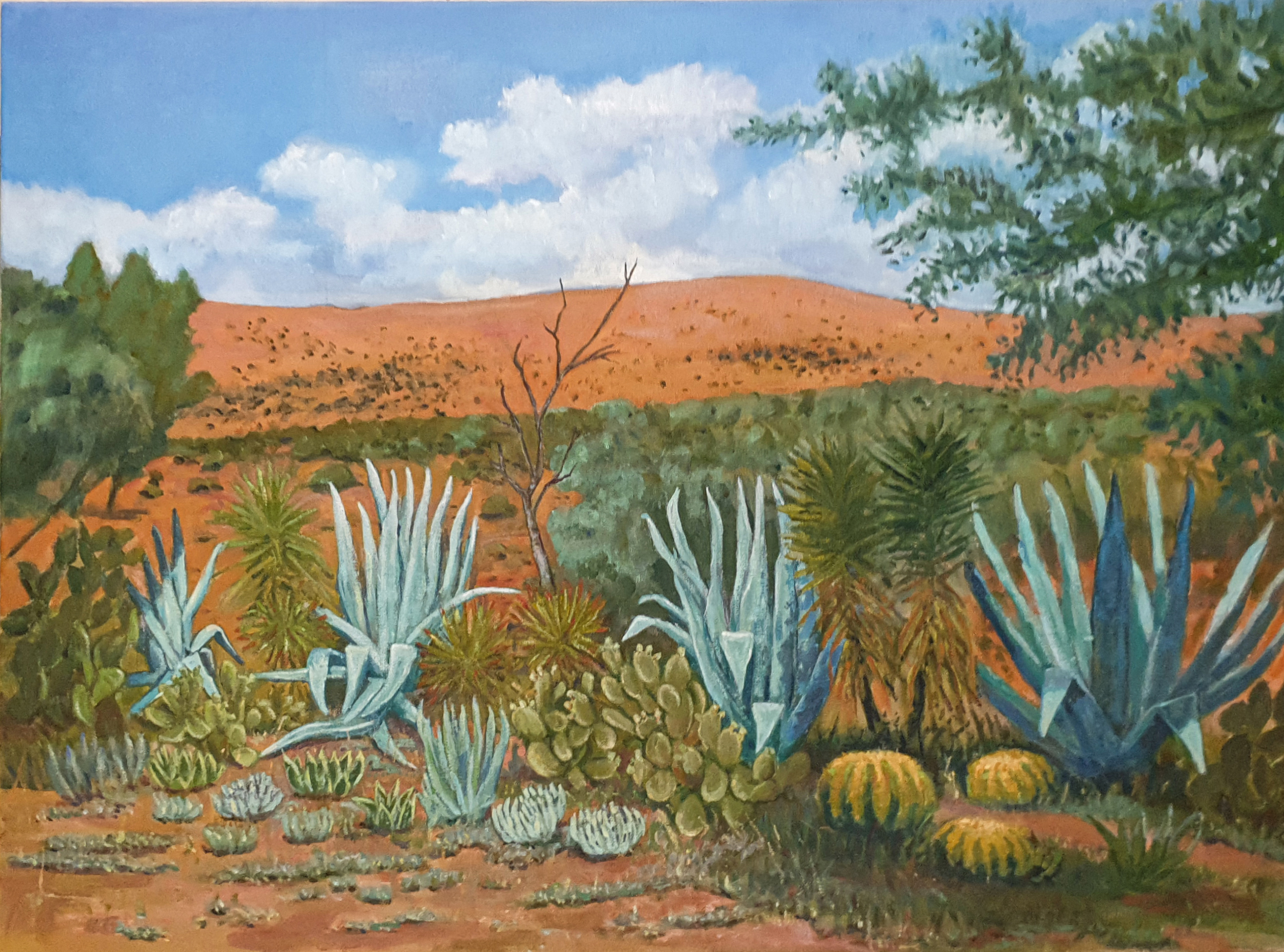 Landscapes - click to view