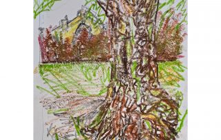 Oak tree sketch