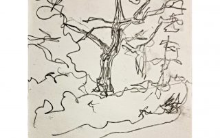 oak tree sketch