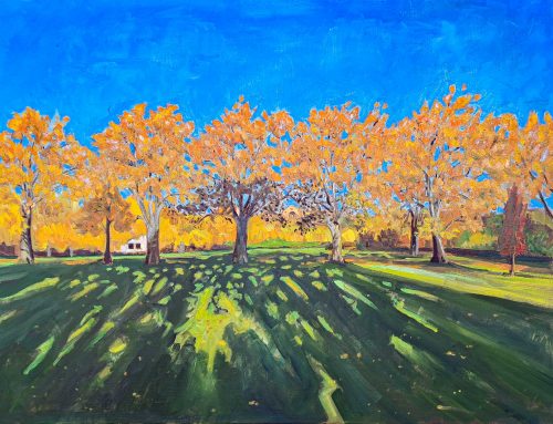 Autumn, Trees, Orange Leaves & Shadows