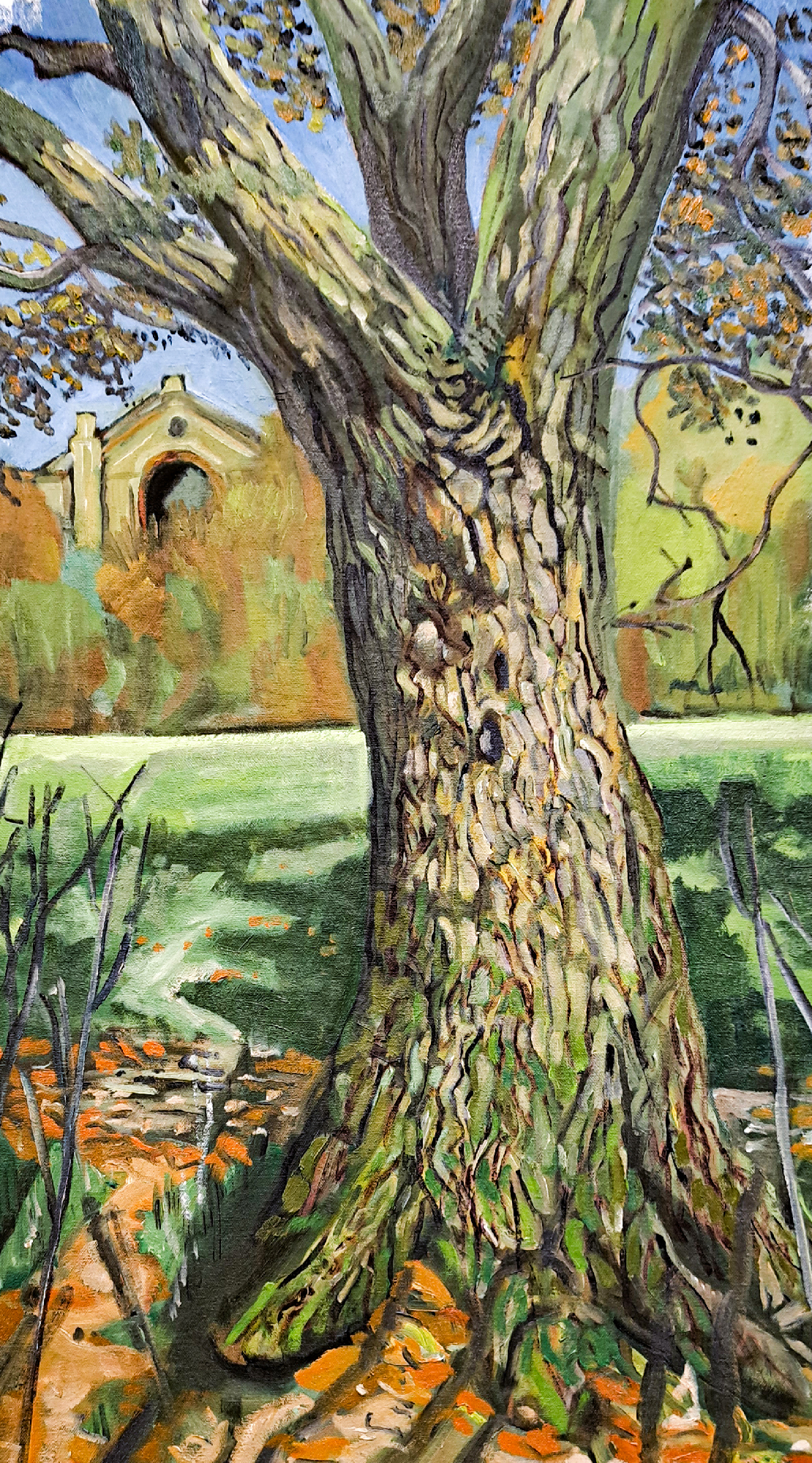 painting oak bark in ally pally park