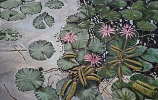 reflections in a lotus pond