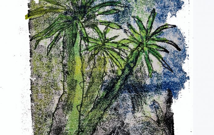 cactus monoprint