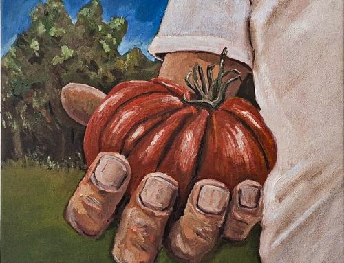 Red Costoluto Fiorentino – Gardeners Pride