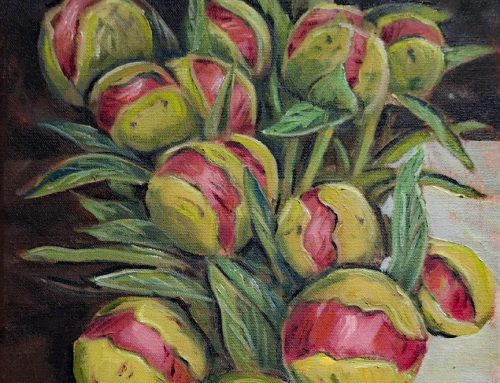Peony Buds