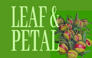 leaf and petal