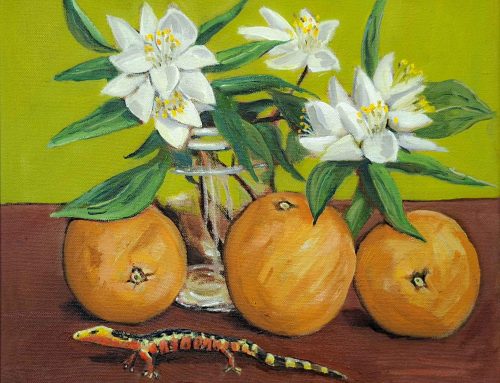 Orange, Mock Real & Lizard