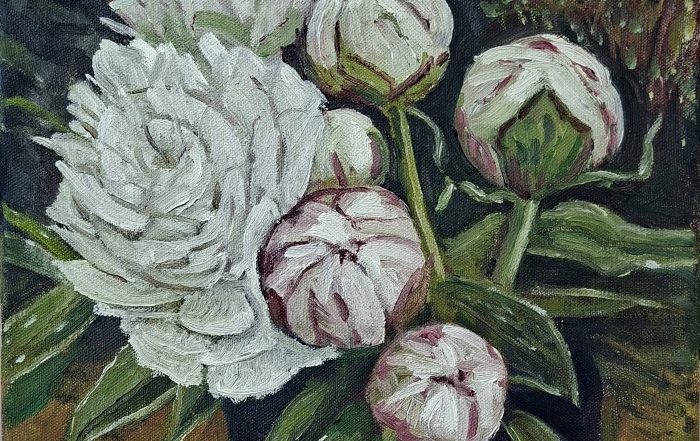 oil painting of white peony buds