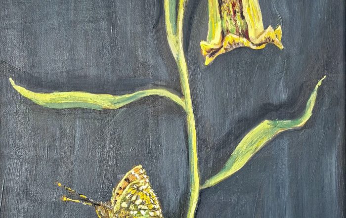 oil painting of fritillary flower and butterfly