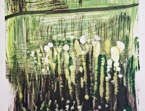 Sunlit Grass